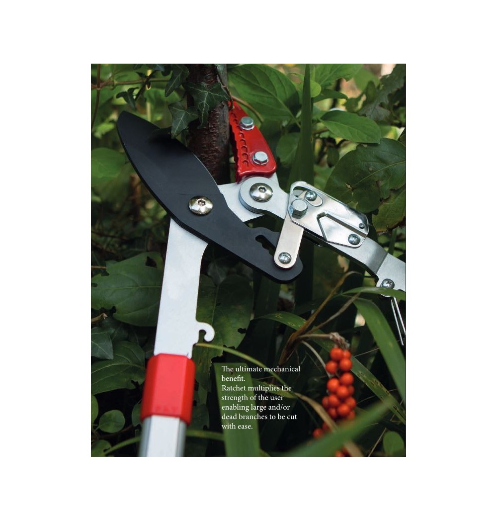 Cisaille JUMBO DARLAC