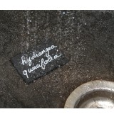 marquage restant à l'eau