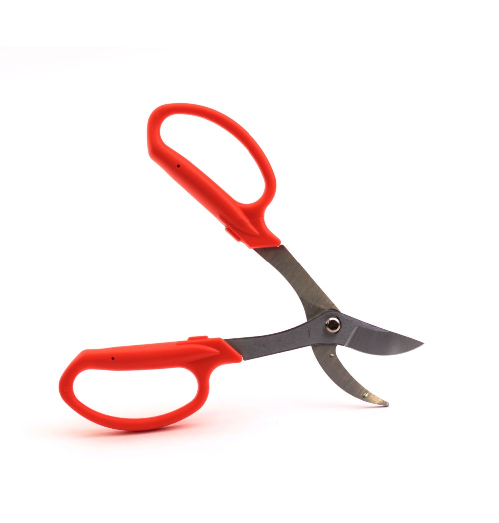 Ciseaux ORANGE BONSAÏ