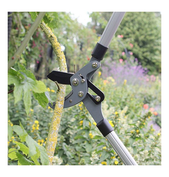 Coupe branche/Ébrancheur compound action grand modèle