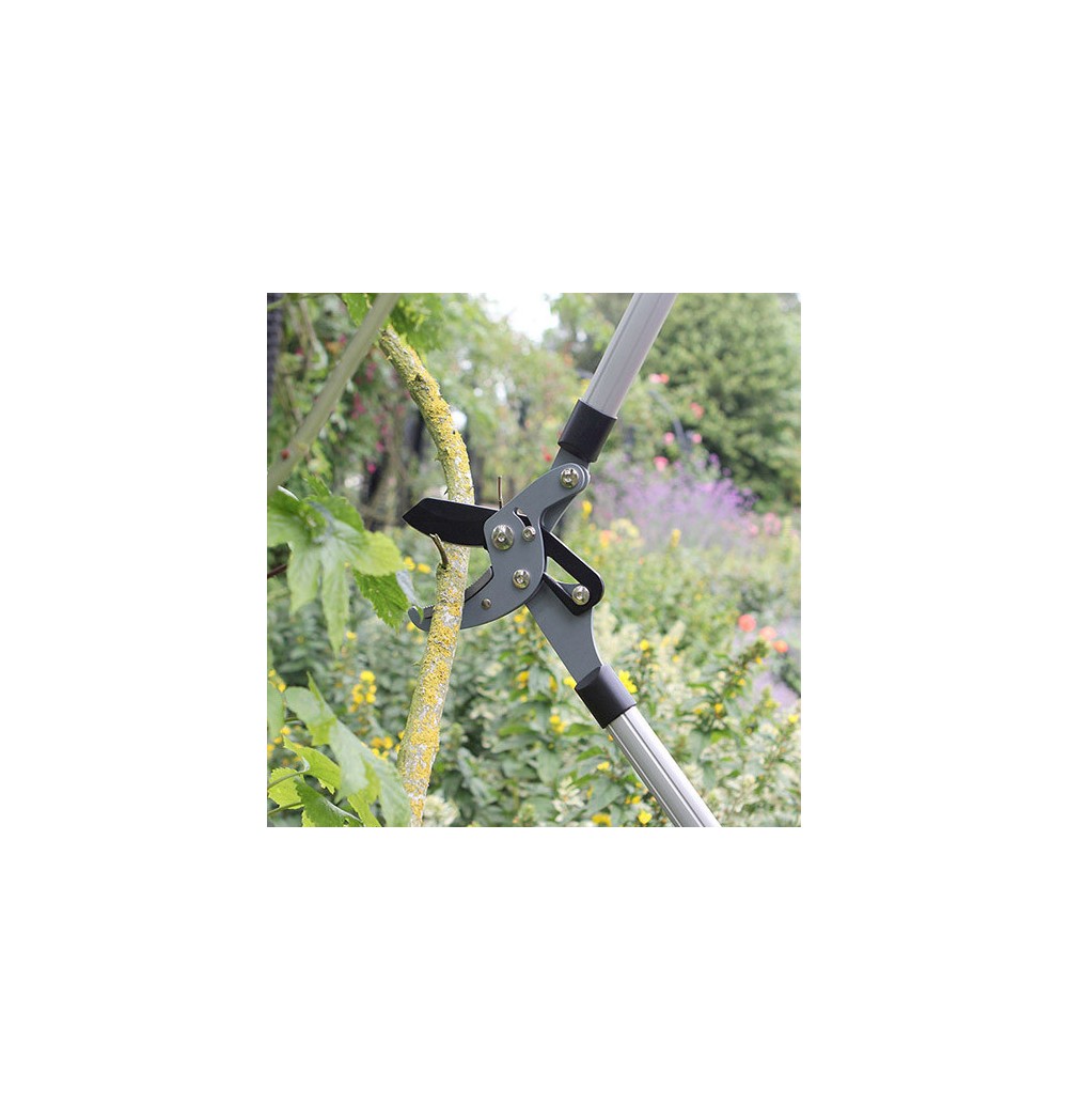 Coupe branche/Ébrancheur compound action grand modèle