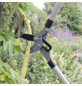 Coupe branche/Ébrancheur compound action grand modèle