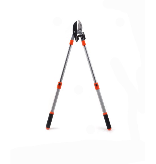 coupe branche crémaillère télescopique déplié