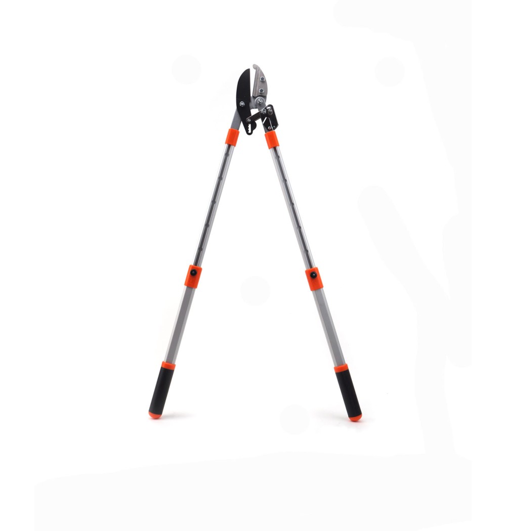 coupe branche crémaillère télescopique déplié