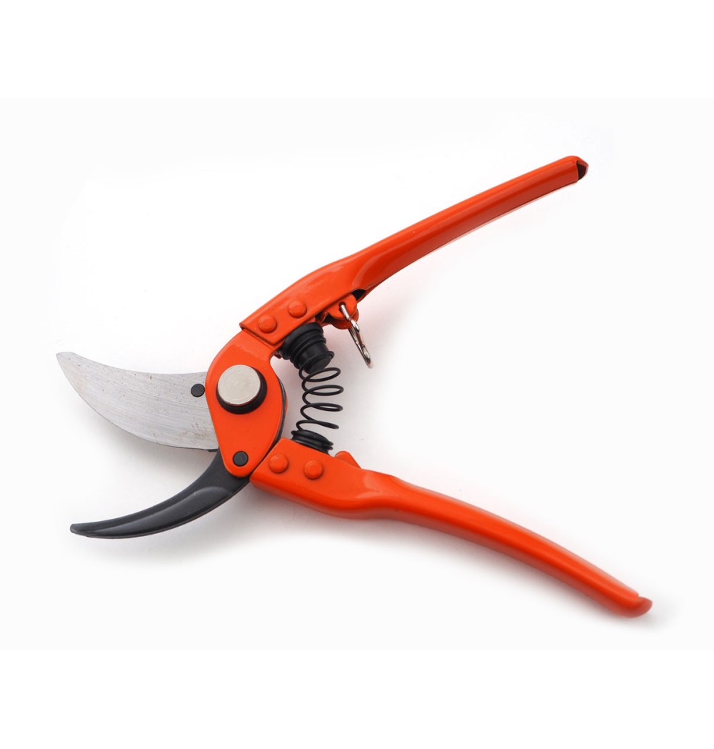 Sécateur Vigne à lames croisées