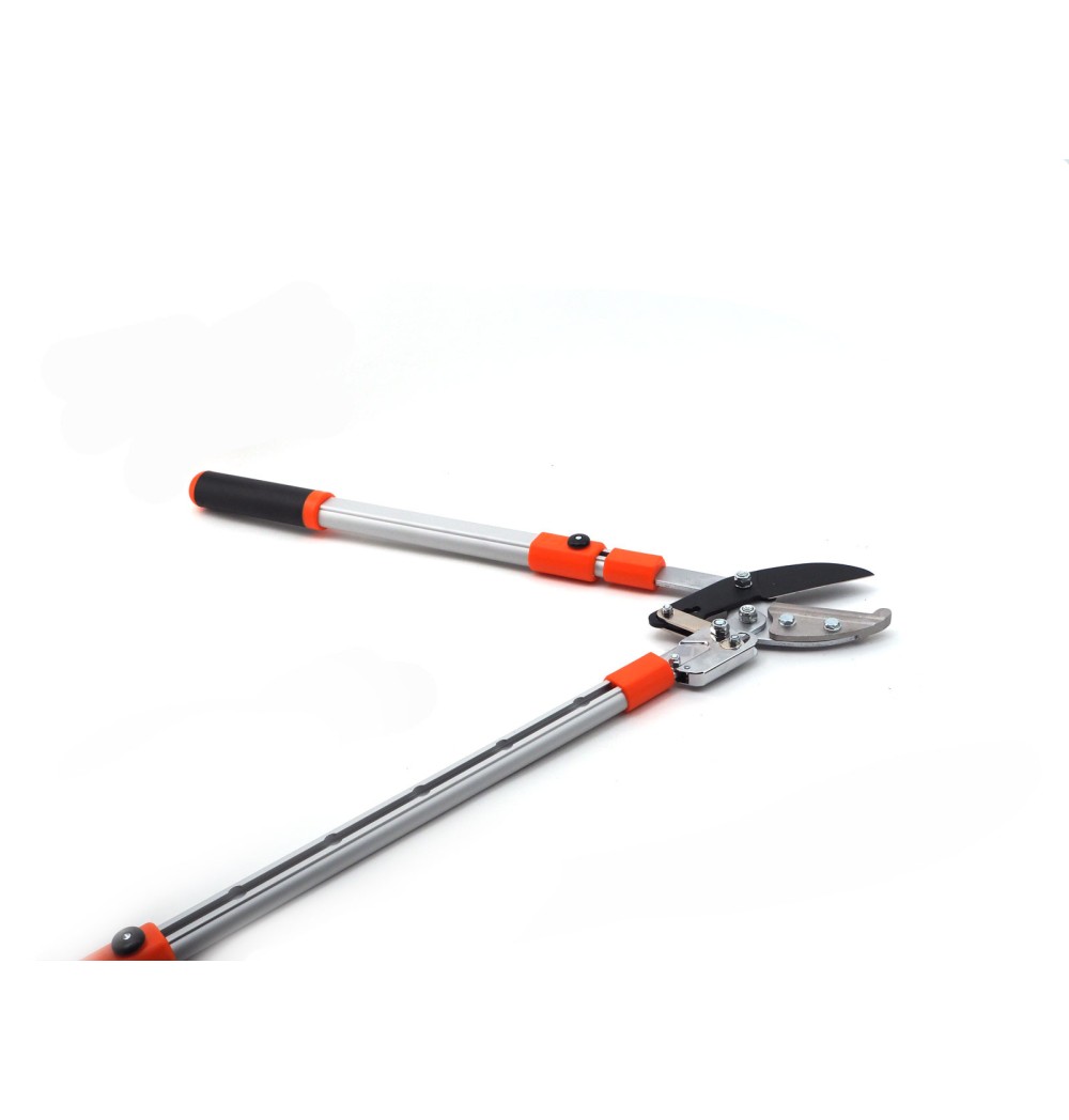 coupe branches crémaillère professionnel