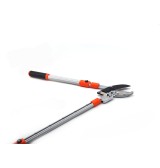 coupe branches crémaillère professionnel