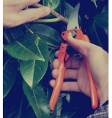 Sécateur Vigne ORANGEPRO