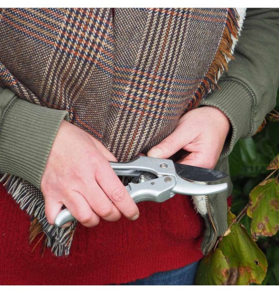 sécateur équipé d'une crémaillère pour une force démultipliée