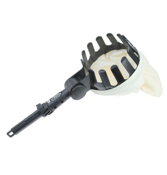 cueille fruit darlac