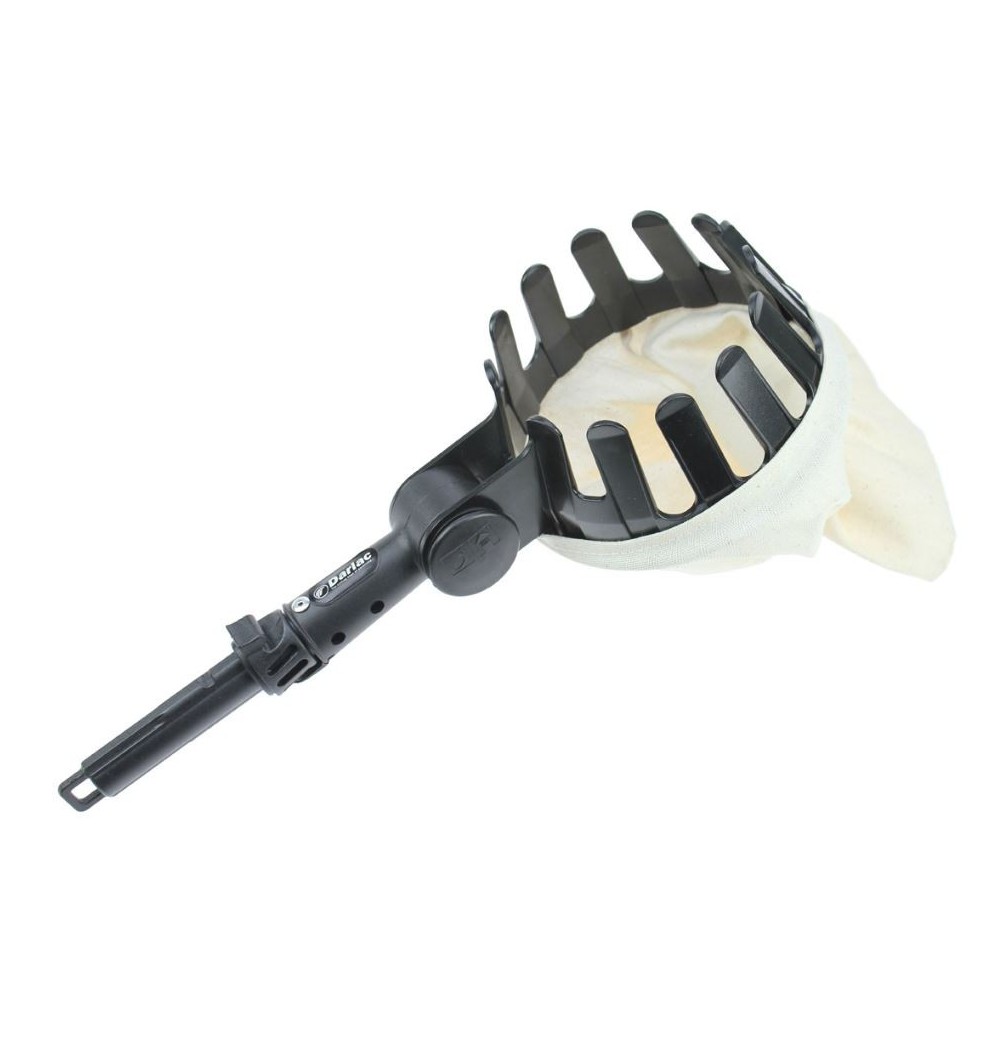 cueille fruit darlac