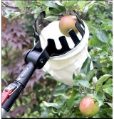 cueille fruit darlac