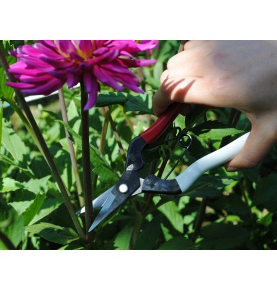 Sécateur Japonais OKATSUNE