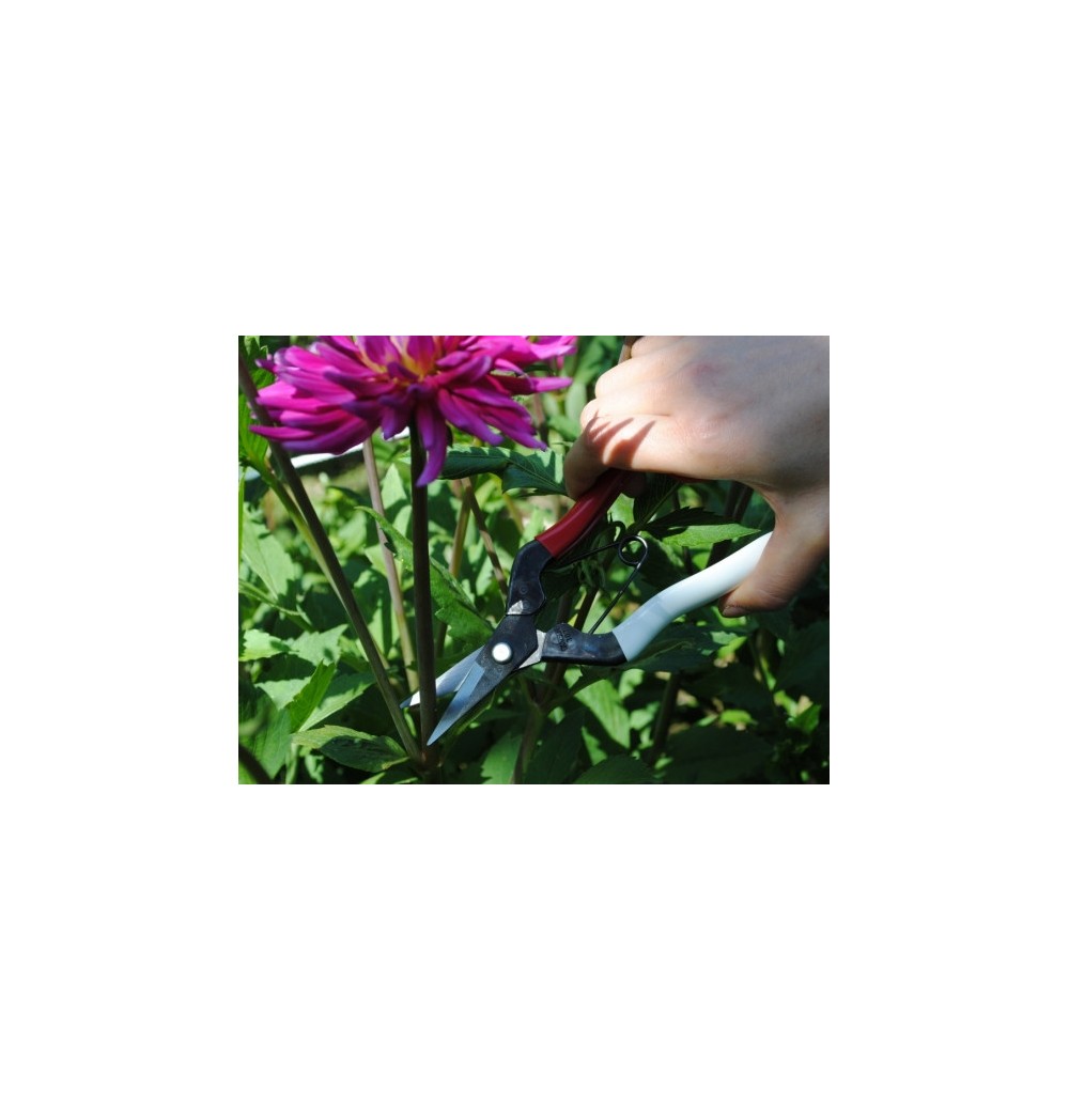 Sécateur Japonais OKATSUNE